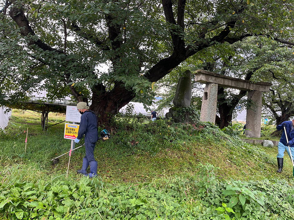 清池の石鳥居の清掃活動